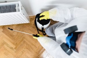 5 Signs You Need to Call an Exterminator