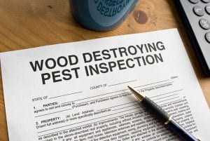 Don’t Buy a Property Without Learning About Real Estate Inspections